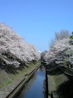 ありがとう晙また来年絓